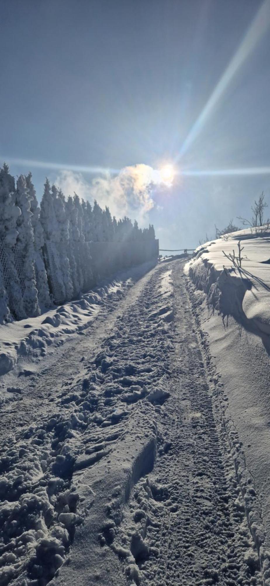 Domki 4 Pory Roku Koniaków Exterior foto